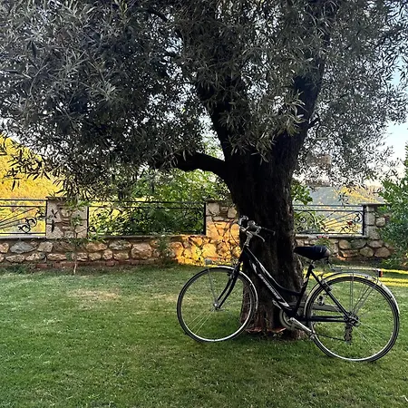 Chateau Fasel 酒店