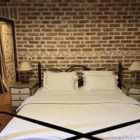 Chateau Fasel 4* 地拉那