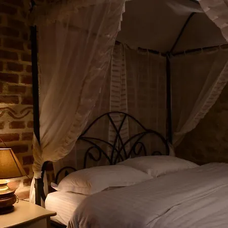 Chateau Fasel 4* 地拉那