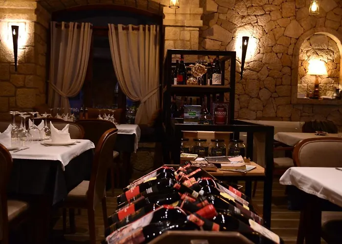 Chateau Fasel 4* 地拉那