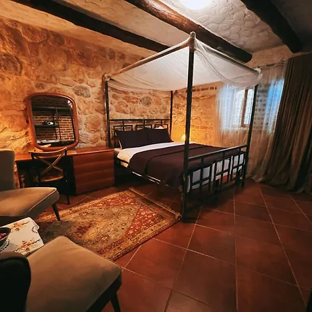 Chateau Fasel ティラナ