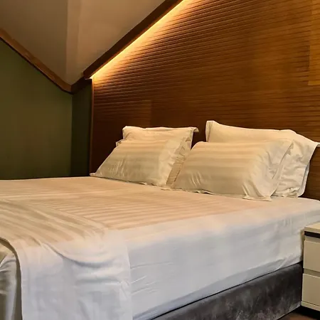 Chateau Fasel 4* 티라나